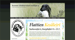 Desktop Screenshot of flatti.net